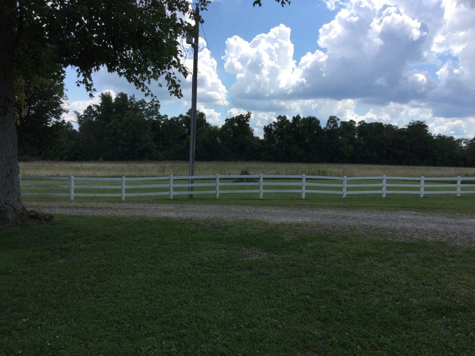 My prairie restoration project.