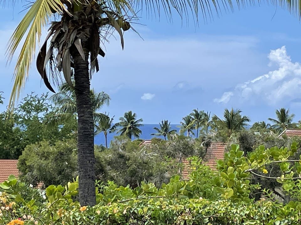 Ocean Peek-a-boo view from the condo.