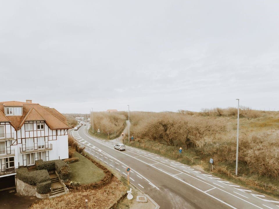 Sky, Street Light, Window, Plant, Building, Car, Asphalt, Road Surface, Vehicle, Land Lot