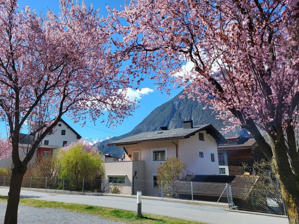 Plant, Sky, Building, Daytime, Property, Flower, Window, Tree, Leaf, Blue