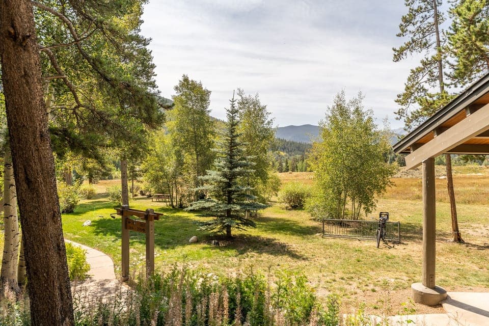 View from the balcony during the summer.