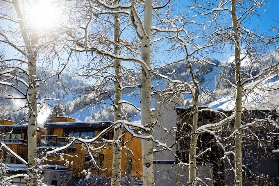 Aspen Mountain view from front patio