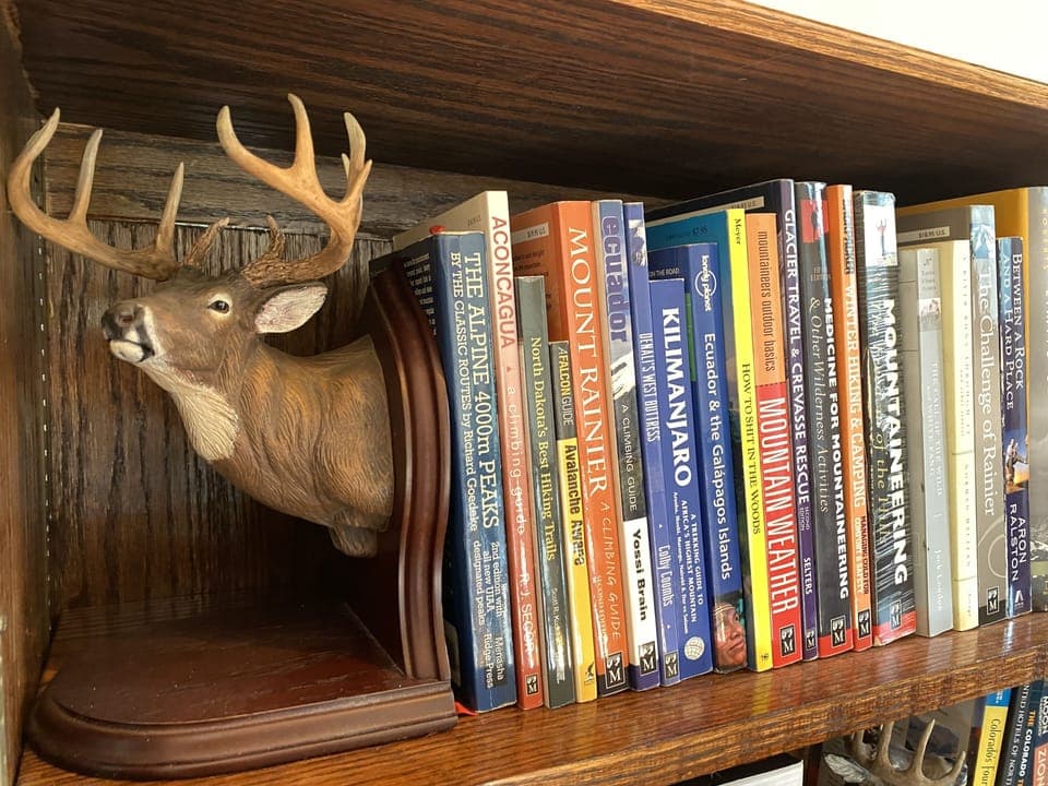 Pluck a book from the great selection on the shelf and settle in for a great read!