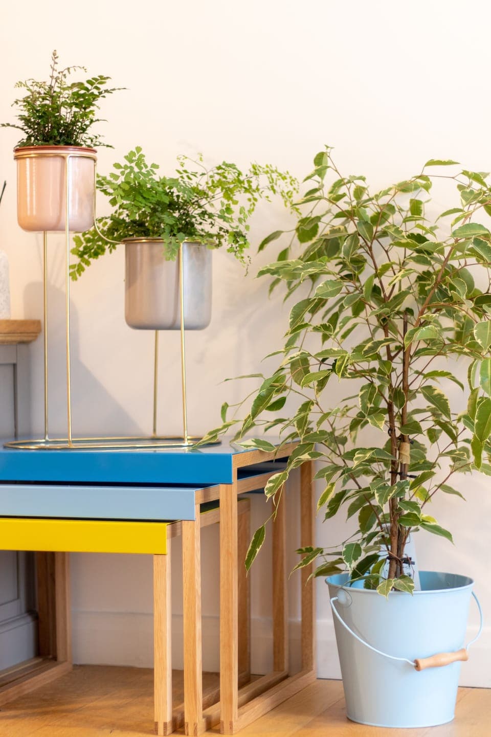 Plants and colourful occasional tables