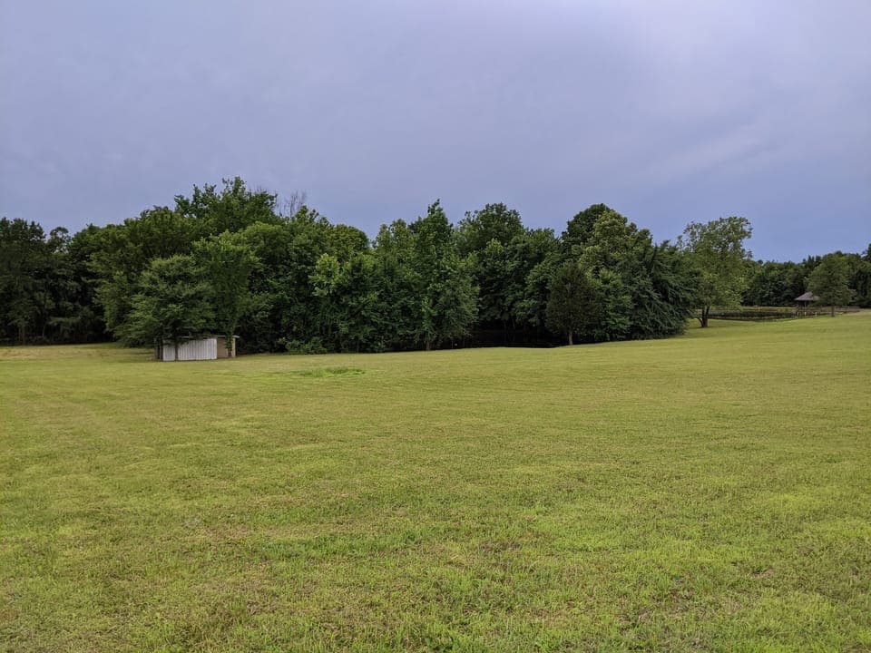 View from front porch 