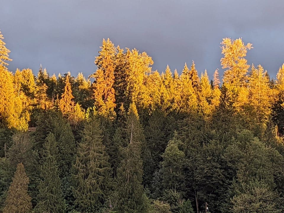 Look at this evening view from the deck!