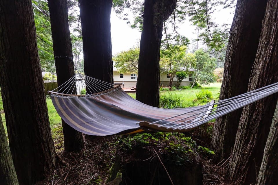 Immerse yourself within the redwood forest with this unique 2 person hammock.