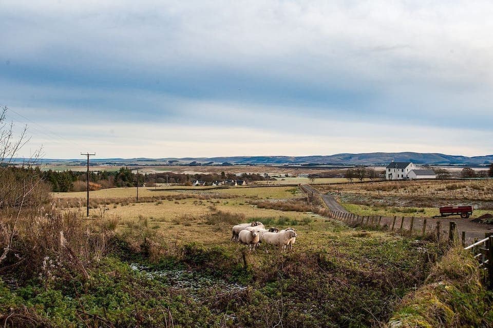Shepherds Cottage - access track