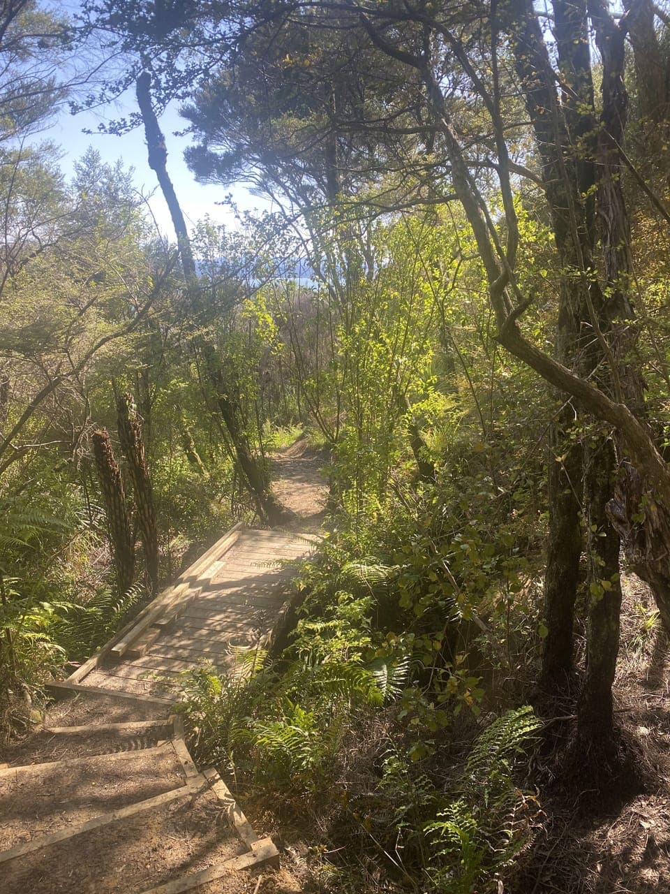 Our amazing property manager is working on a track around the property.