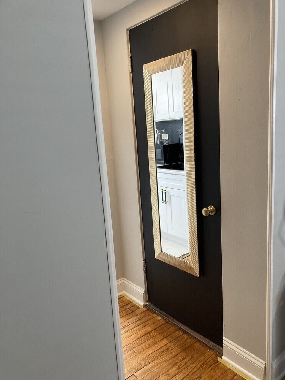 Full length mirror and closet for storage 