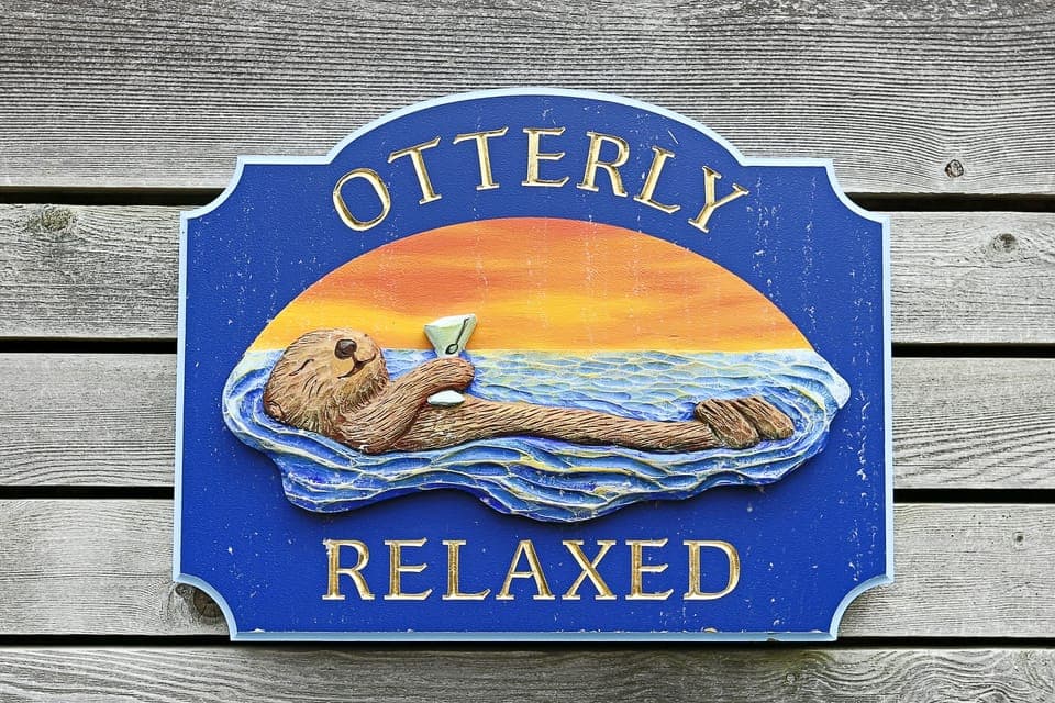 Chill, the Otter.  