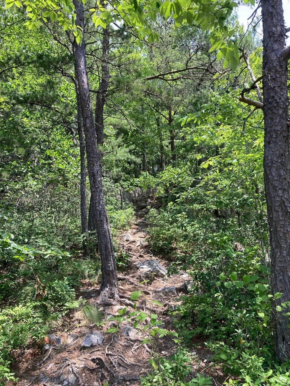Nearby trails