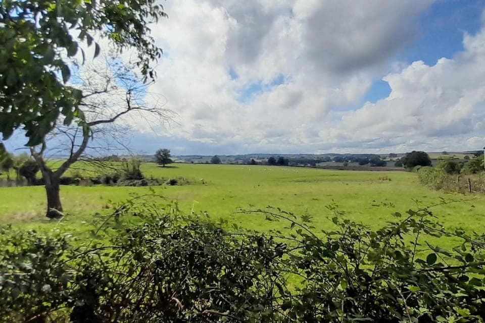 Immediate Surroundings [summer] (<1 km)