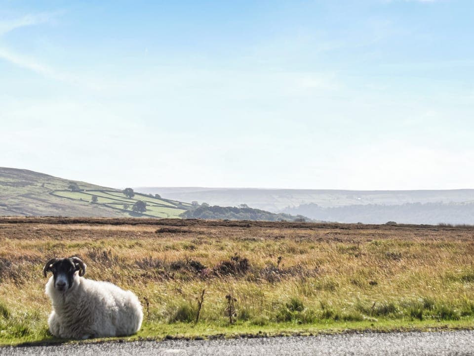 Surrounding area | York Apartment - The Old Schoolhouse, Commondale, near Whitby