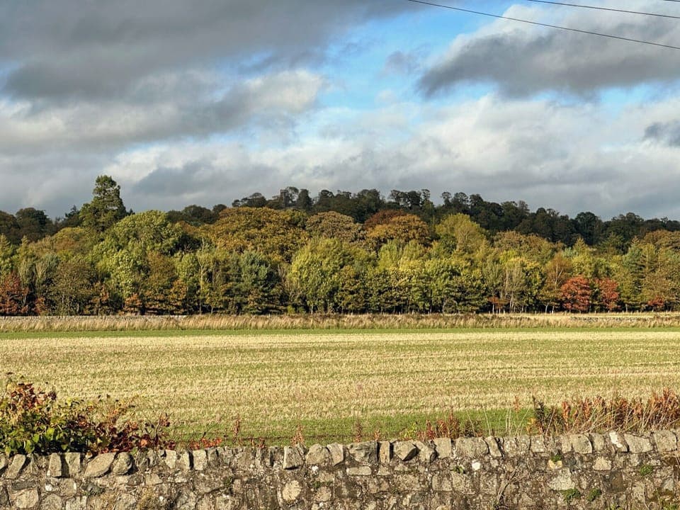 Surrounding area | Denburn Cottage, Colinsburgh, near Elie and Anstruther