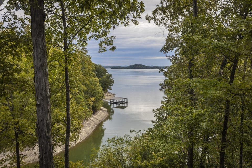 There is Wi-Fi in the forest, but I promise you'll find a better connection.