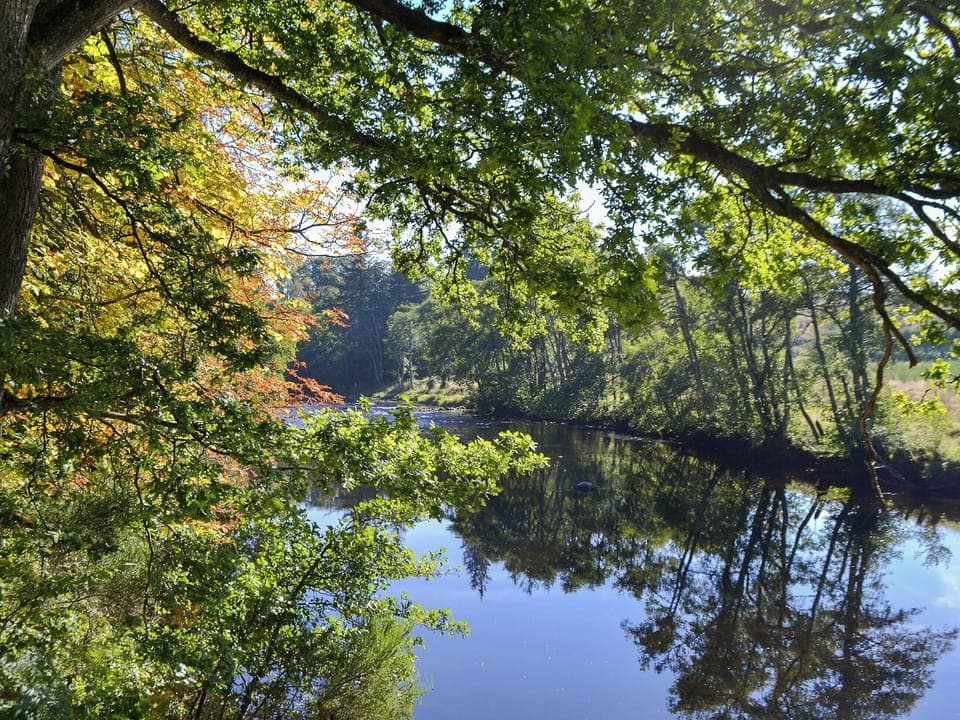 River Earn Crieff