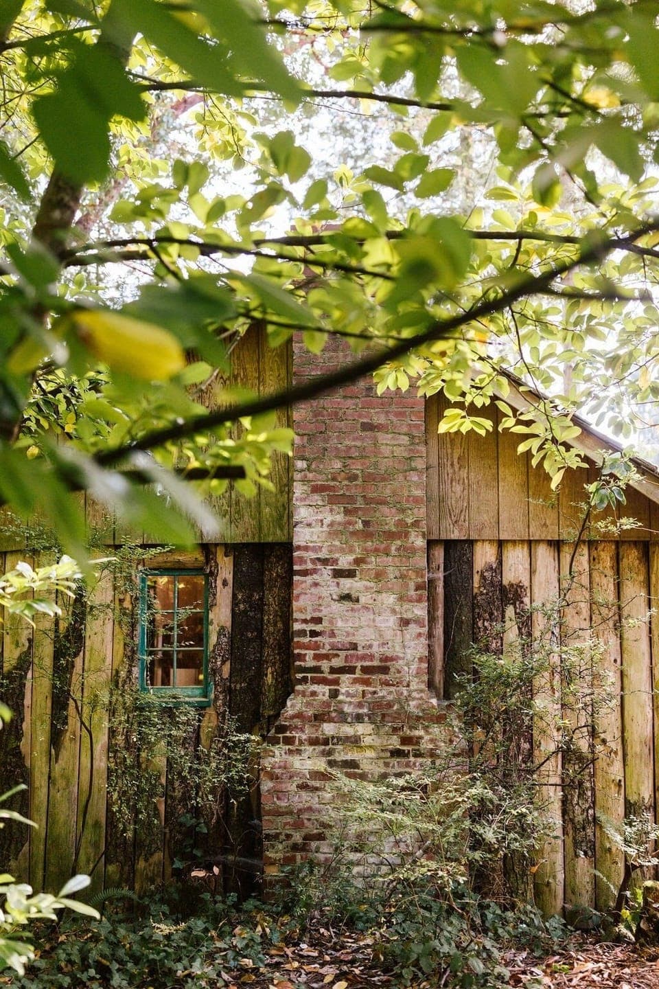 Charming and rustic lakeside cabin