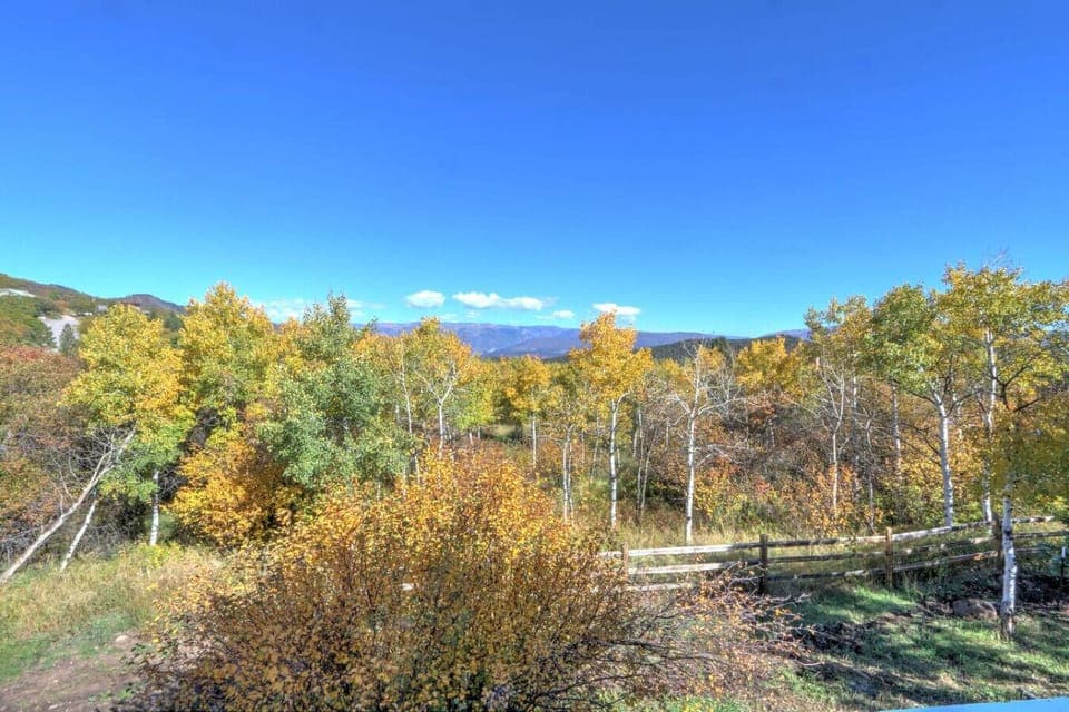 Stunning mountain views from back deck