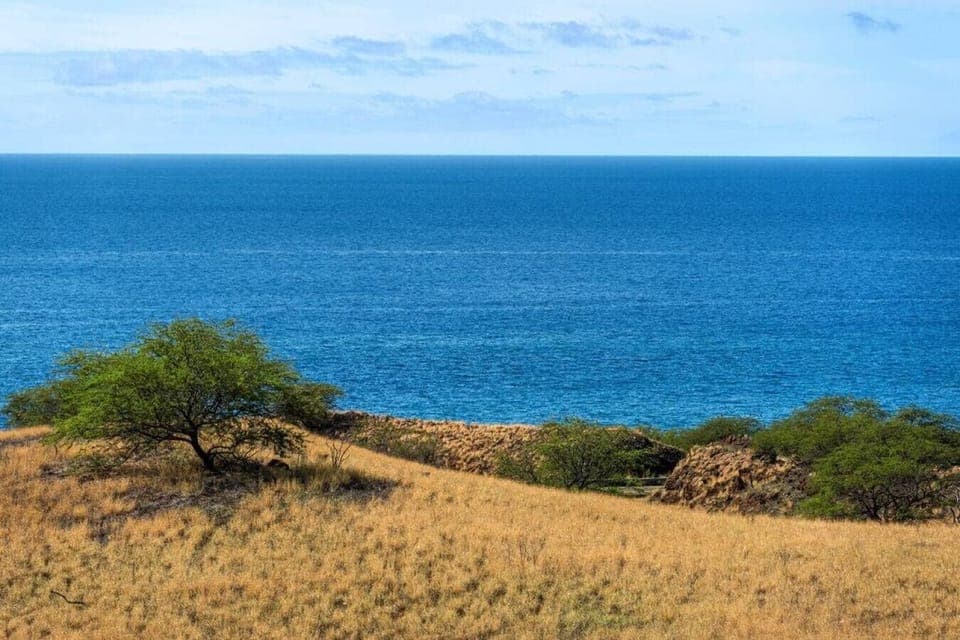 Scenic view of the ocean.