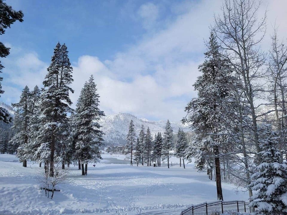 Cross country skiing, hiking trails