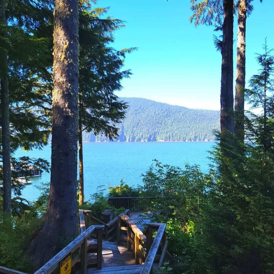 view from viewing platform 