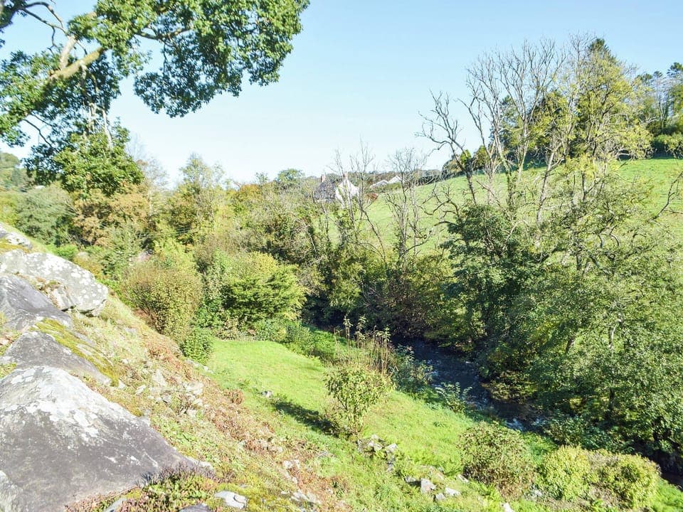 Garden | The Weavers Loft, Capel Dewi