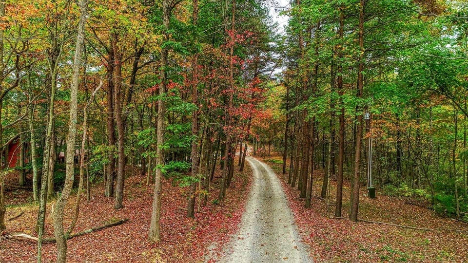 Driveway through the 25 acre property