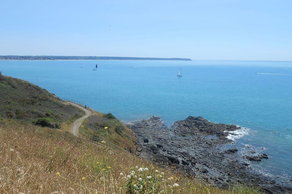 Region [summer] (>5 km)