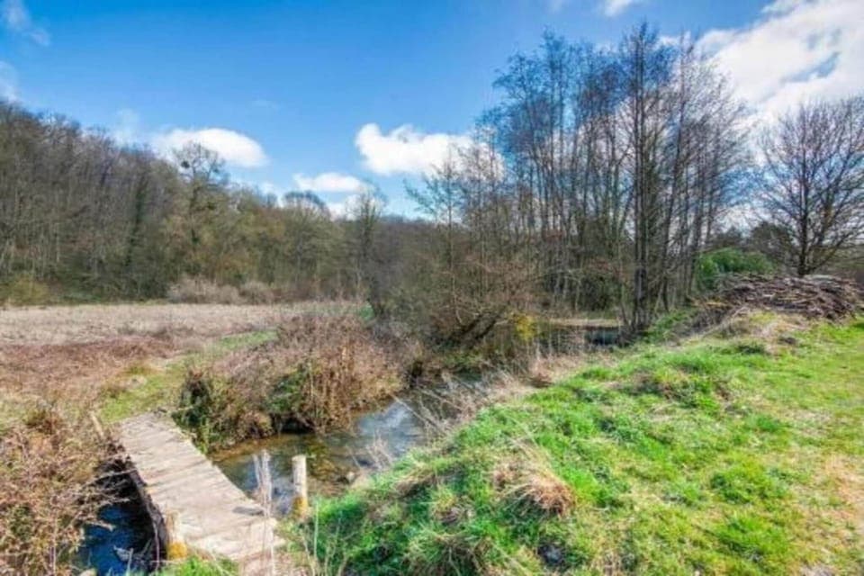 Region [summer] (>5 km)