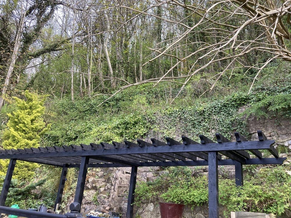 Rear garden pergola