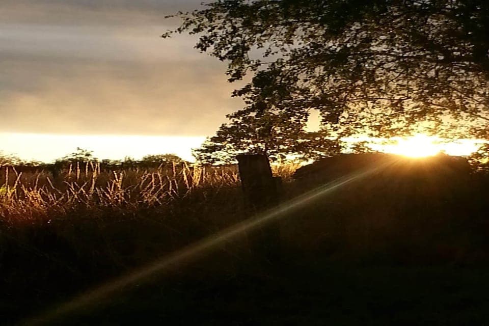 View from Holiday Home [summer]