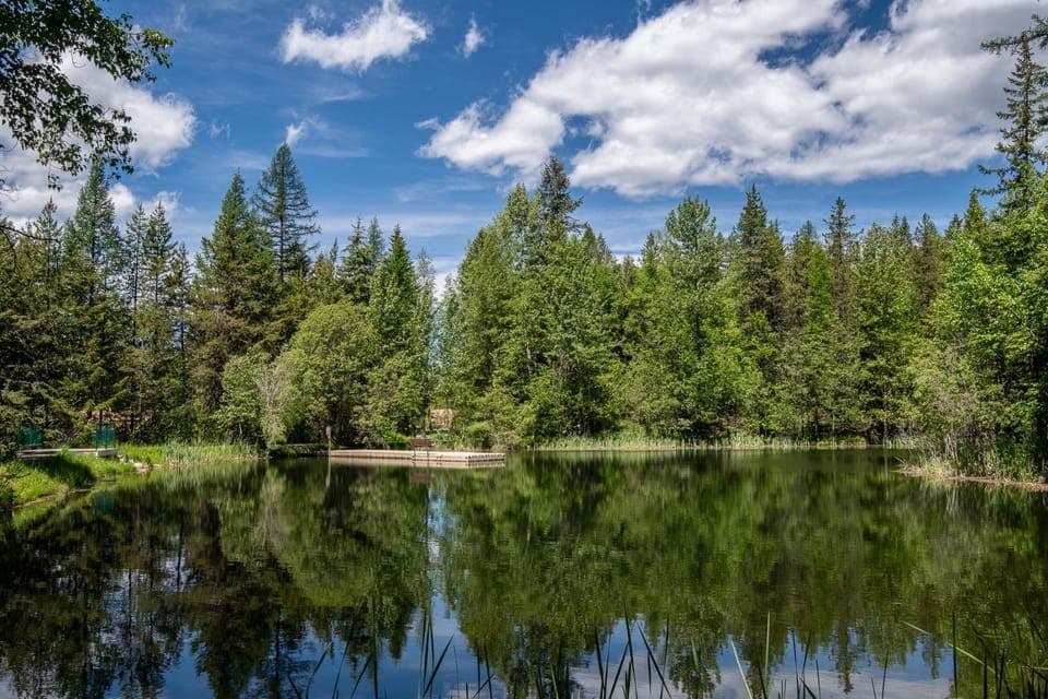 Elmers Pond - Great place to fish with the kiddos
