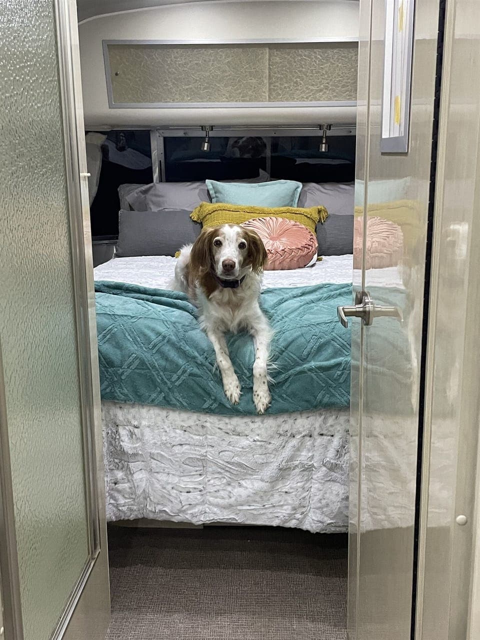 We are dog friendly! Look at Luke, resting on the Master queen bed.