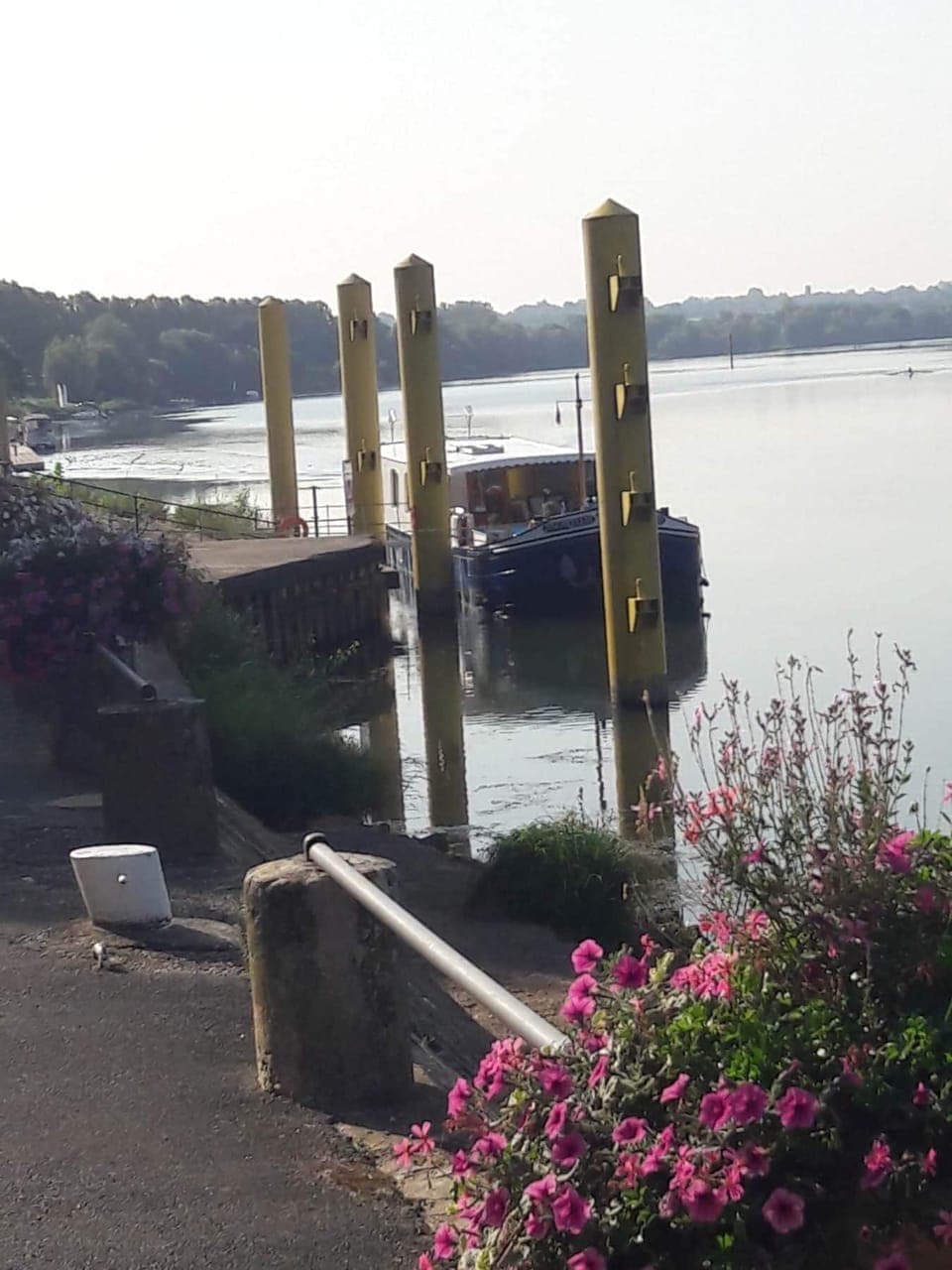 The banks of the Saône (3)