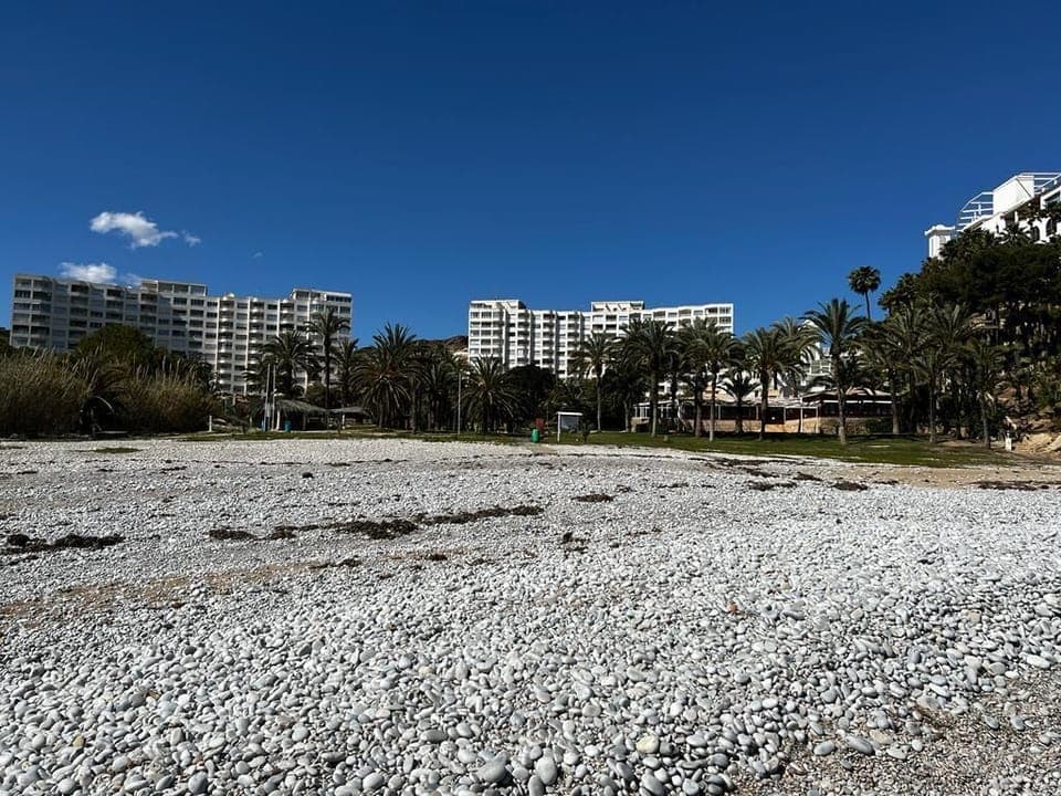 Apartamento Caleta Playa - 19