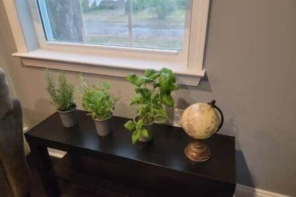 Ad3960e5 c55c 4699 b887 a7cf0f4fb75b