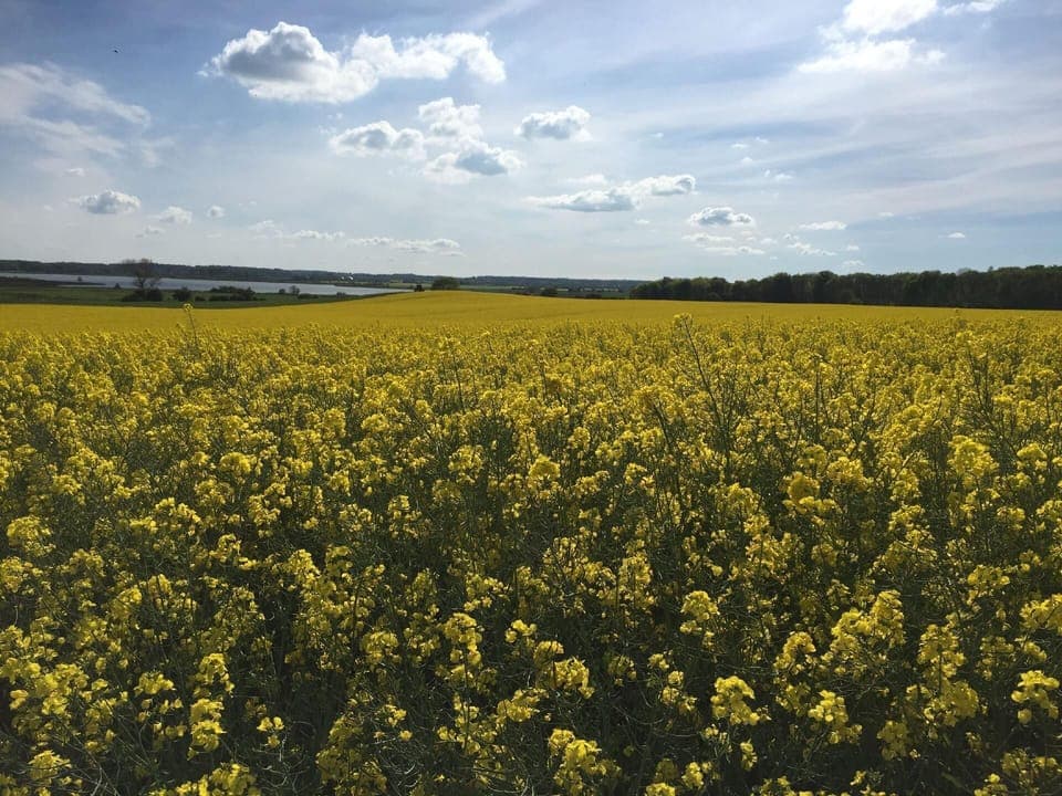 Area that directly surrounds the property