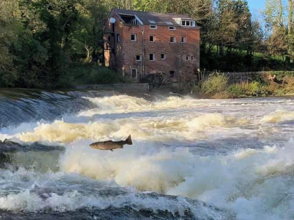 Surrounding area | Erbistock Mill, Erbistock, near Llangollen