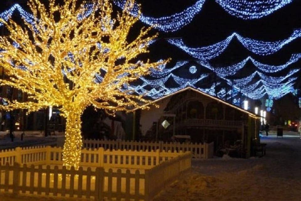 Christmas market &amp; Christmas light 2