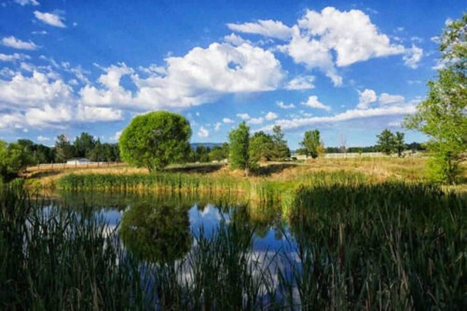 Rancho San Rafael Reg Park