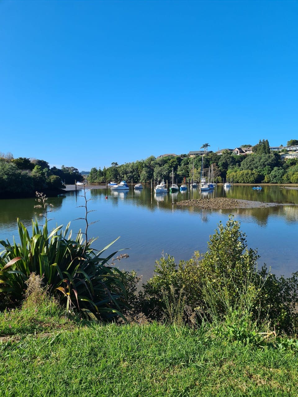 Waipapa Landing boat ramp view