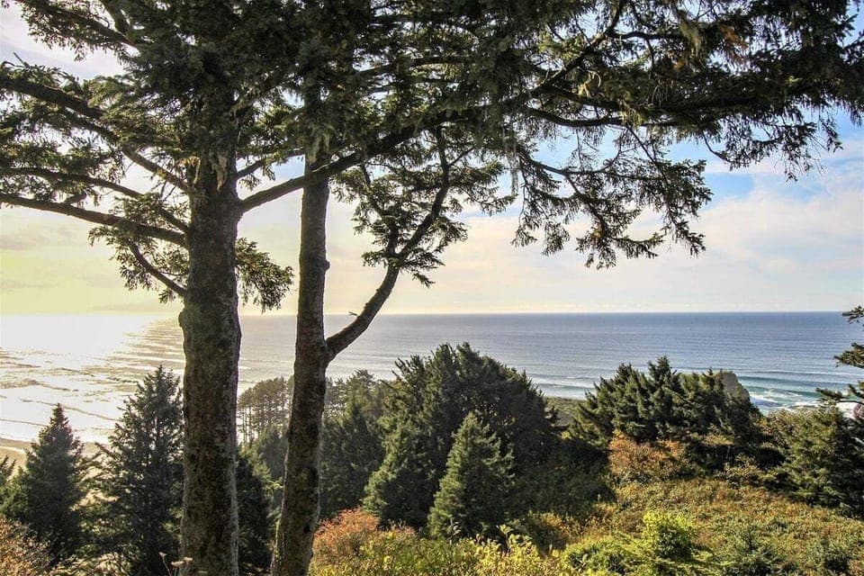 View from The Viewpoint