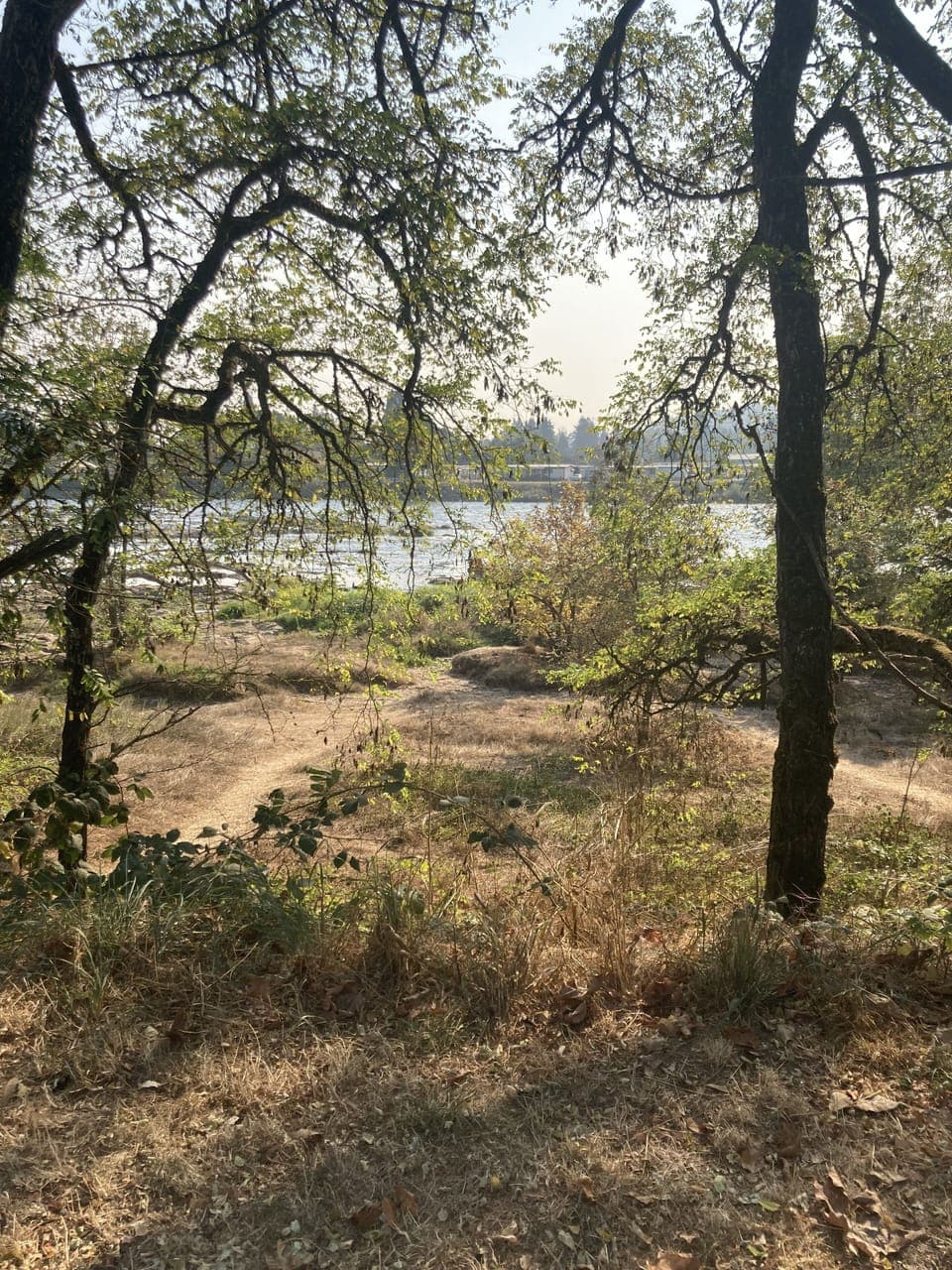 Or just hang out by the river....
