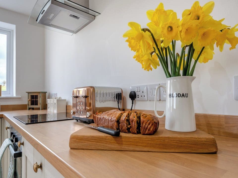 Kitchen area | Gelli Villa, Hebron, near Narberth