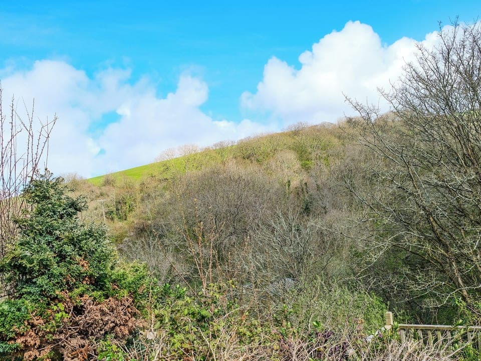 View from Decking | Ivy Cottage, Boscastle