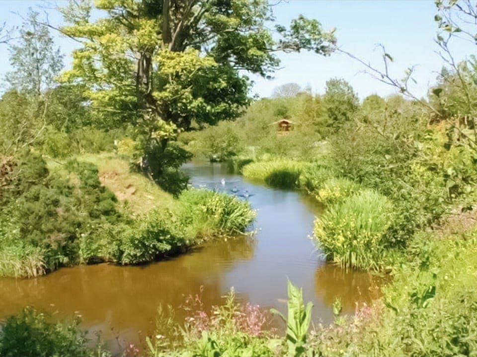 Surrounding area | Griffon Lodge - Felmoor Park, Felton, near Morpeth