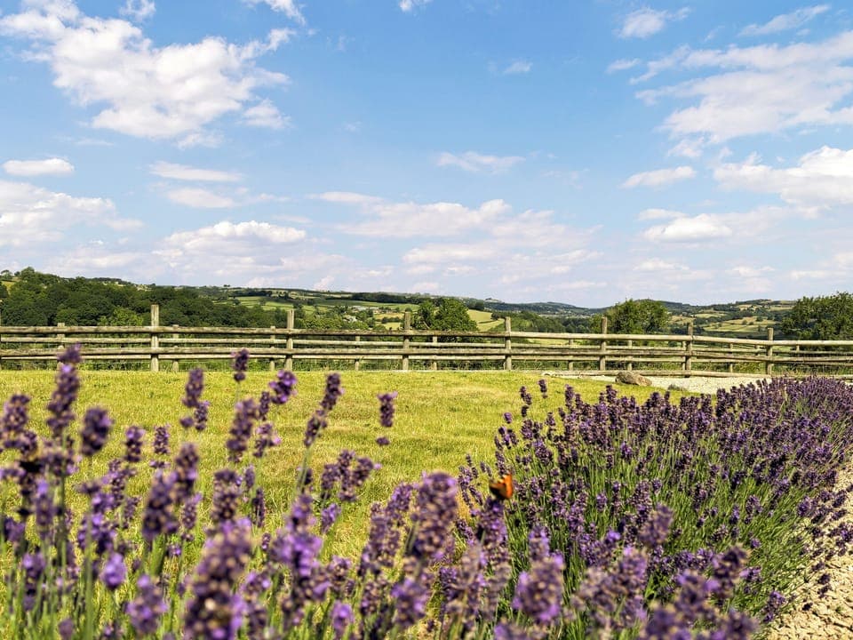 View | Springhill Lodge, Idridgehay, near Belper