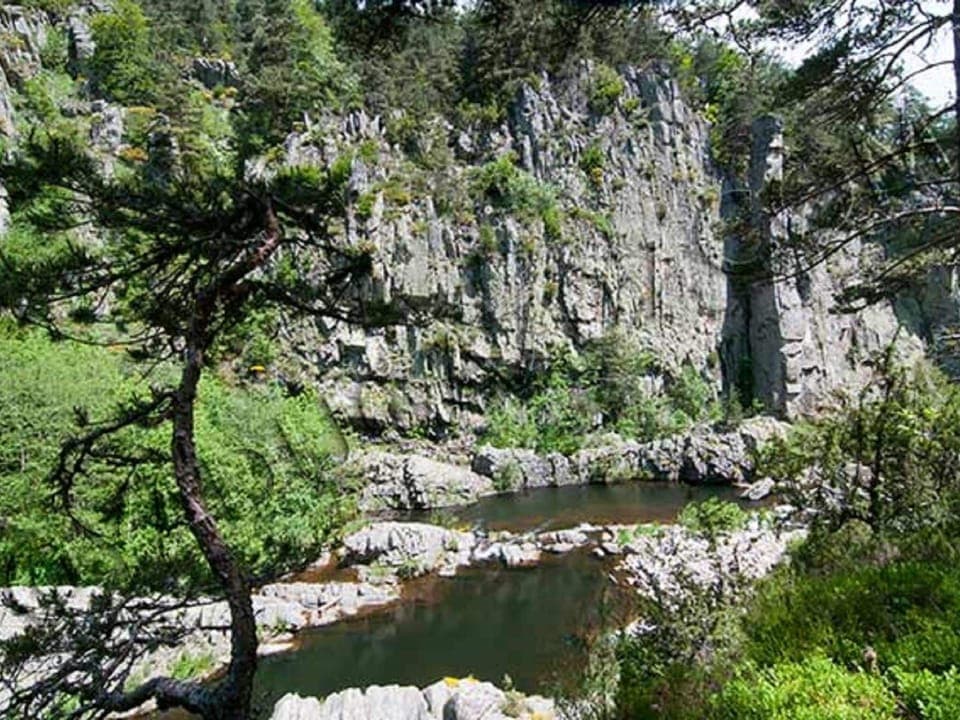 Region [summer] (>5 km)