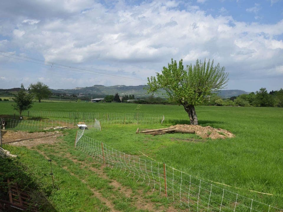 View from Holiday Home [summer]